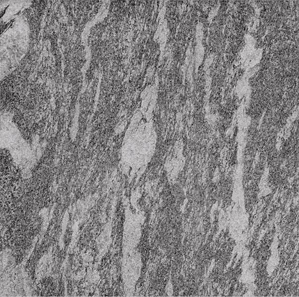 Dlažba Sight Grey 60